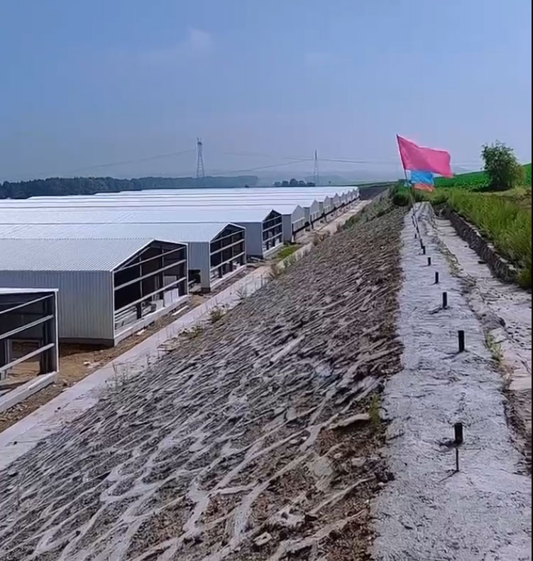 施工現場